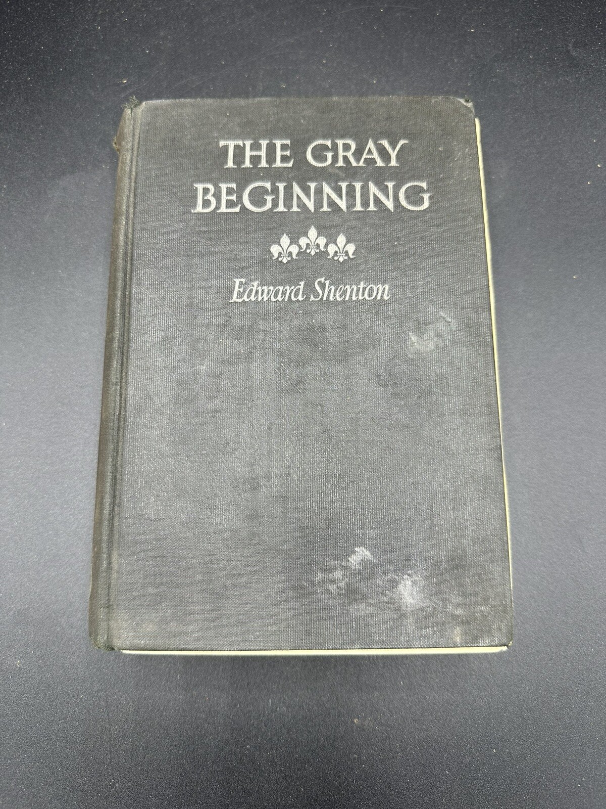 The Gray Beginning by Edward Shenton 1924 RARE