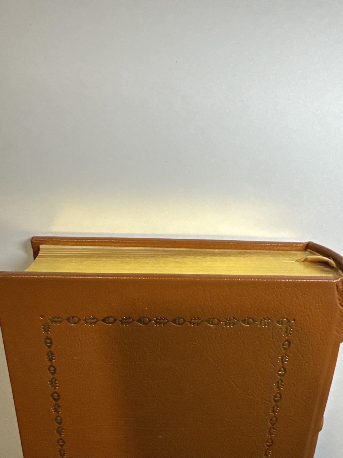Gryphon Editions Leather Hallucinations