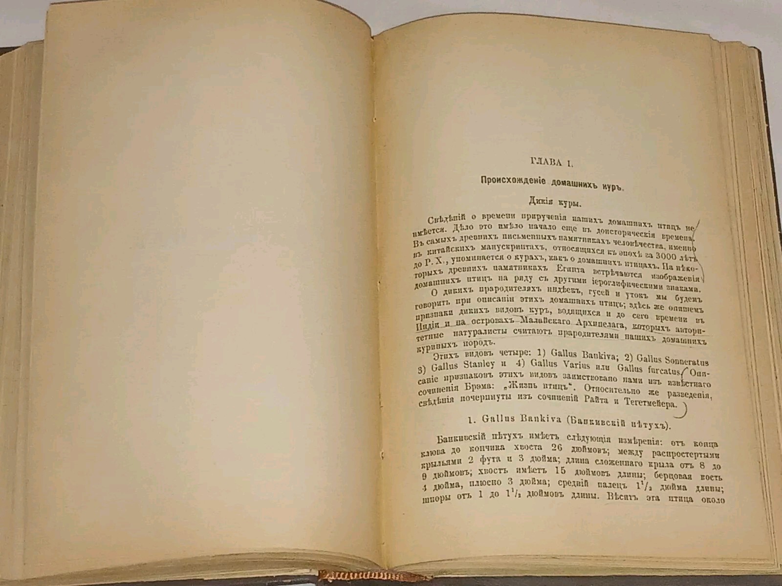 1895 ???????????? ?????? ???? ? ??????? ?????????? Antique book in Russian