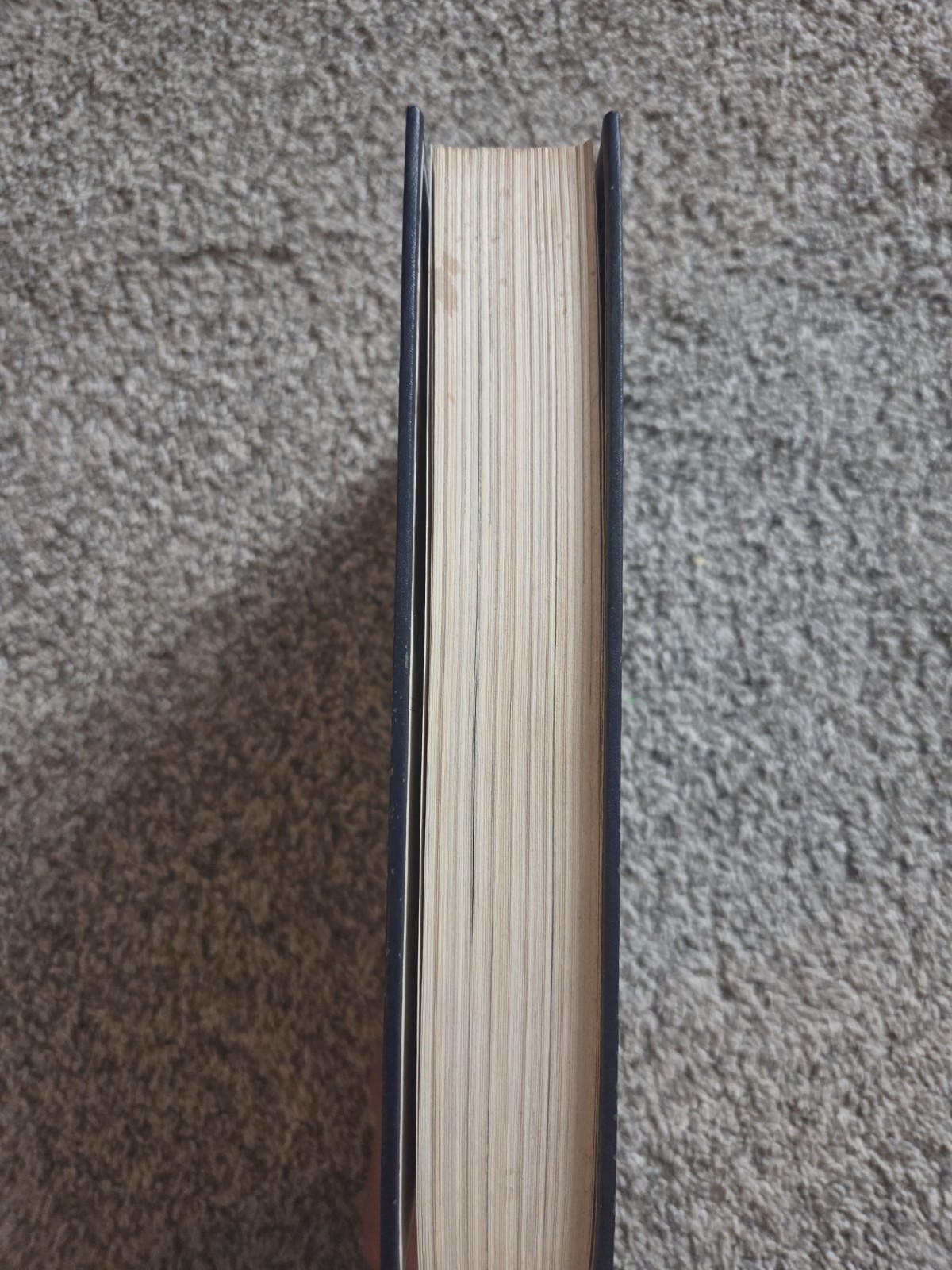 1966 Understanding the Old Testament 2nd Ed 1st Print Anderson Prentice-Hall