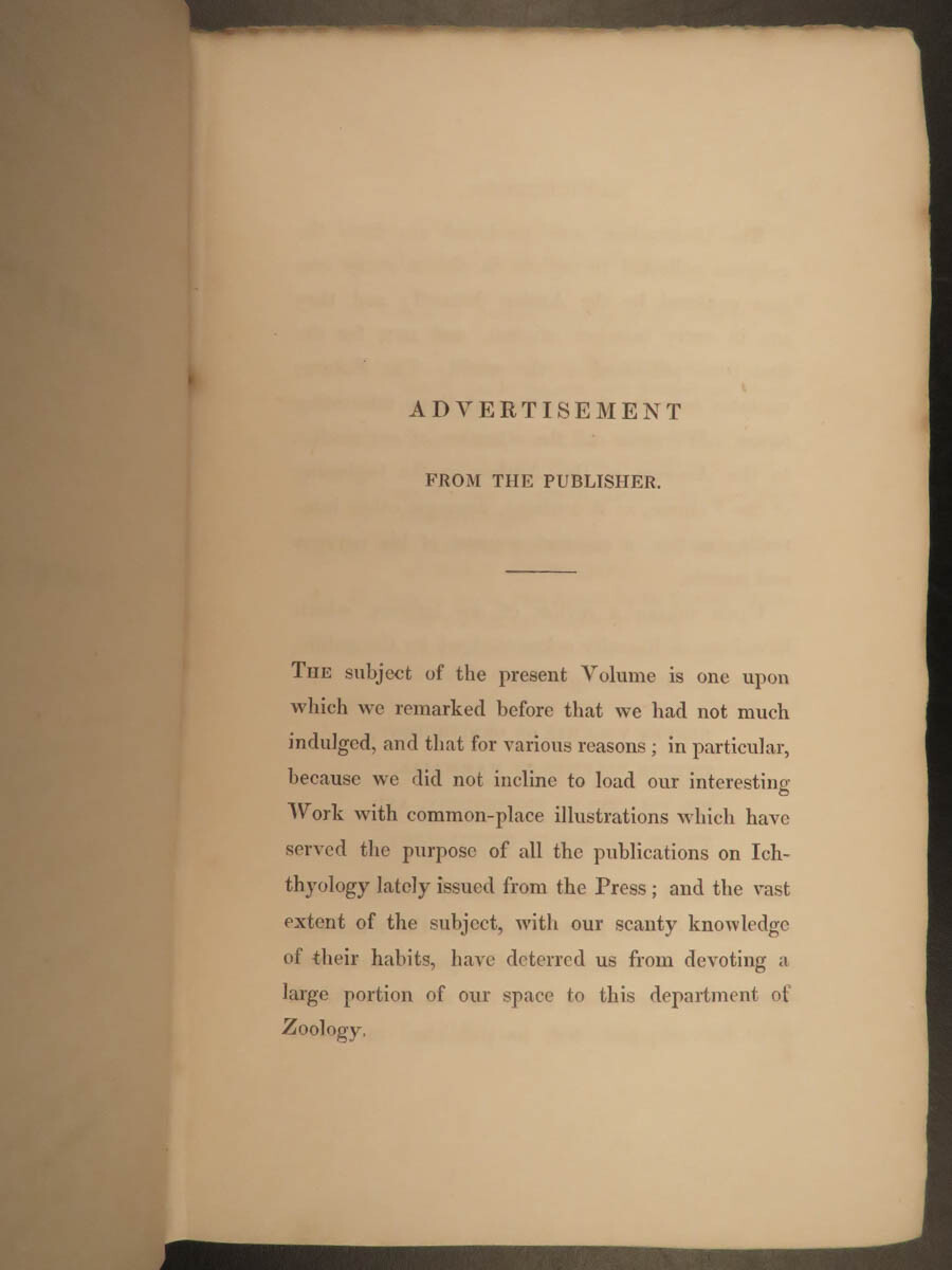 1841 Jardine Naturalist FISH Piranha Salmon Carp Dorsa Ichthyology Africa Guiana