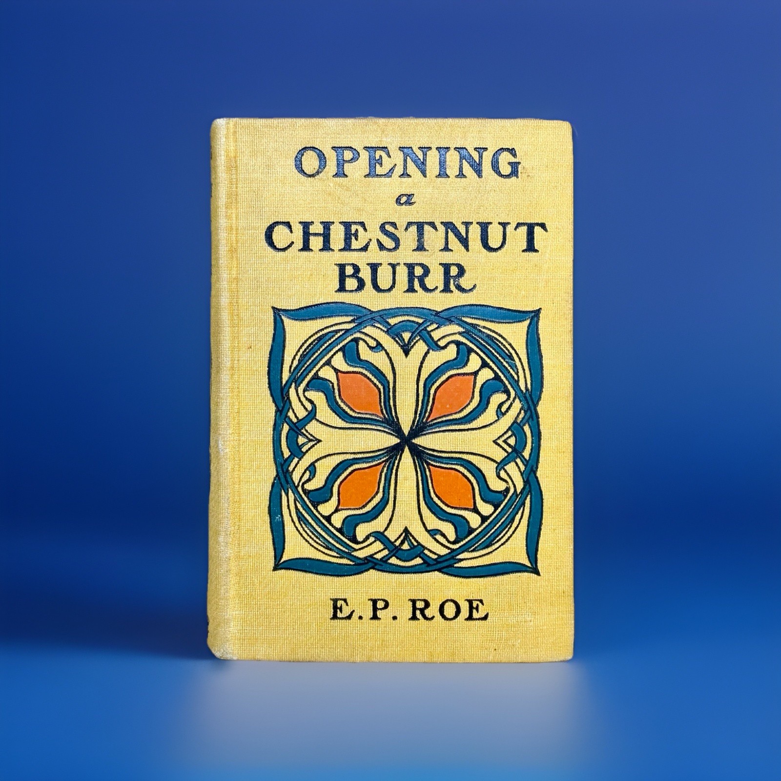 1885 OPENING A CHESTNUT BURR Antique Hardcover Book Decorative Art Nouveau
