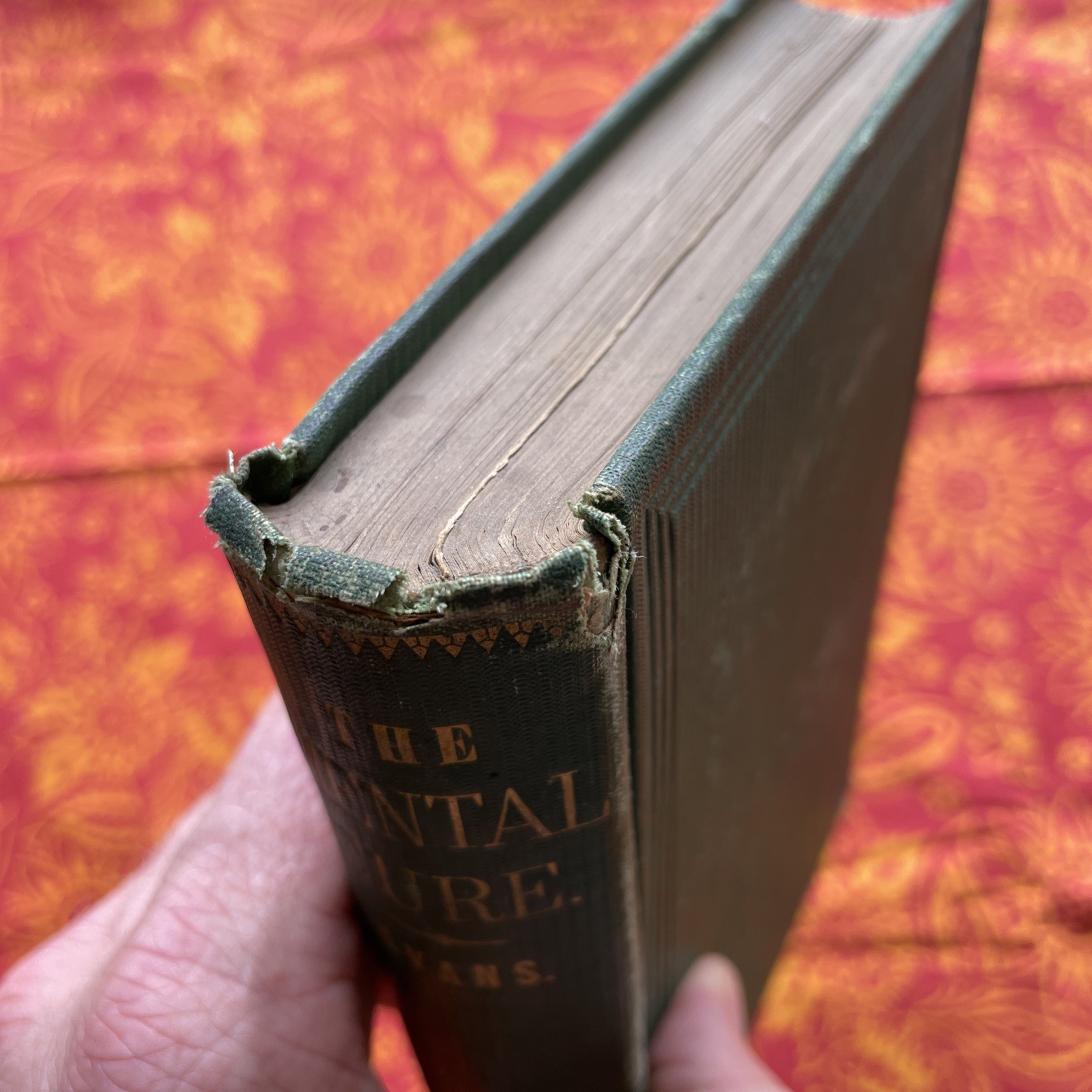 The Mental Cure Illustrating the Influence of the Mind on the Body by W.F. Evans