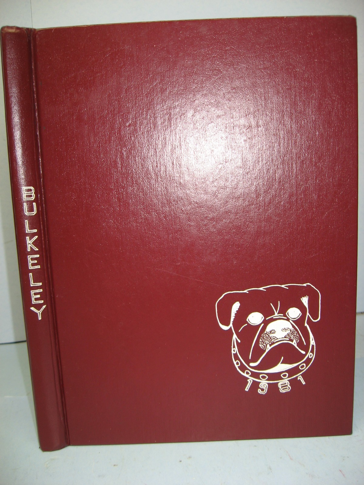 1981 Bulkeley, Bulkeley High School, Hartford, Connecticut Yearbook