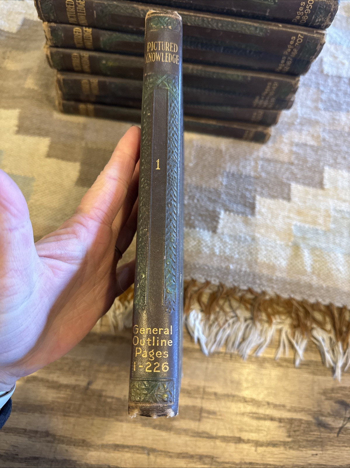 Pictured Knowledge ~1930 ~ Complete set of 10 Volumes Marshall Hughes Co.
