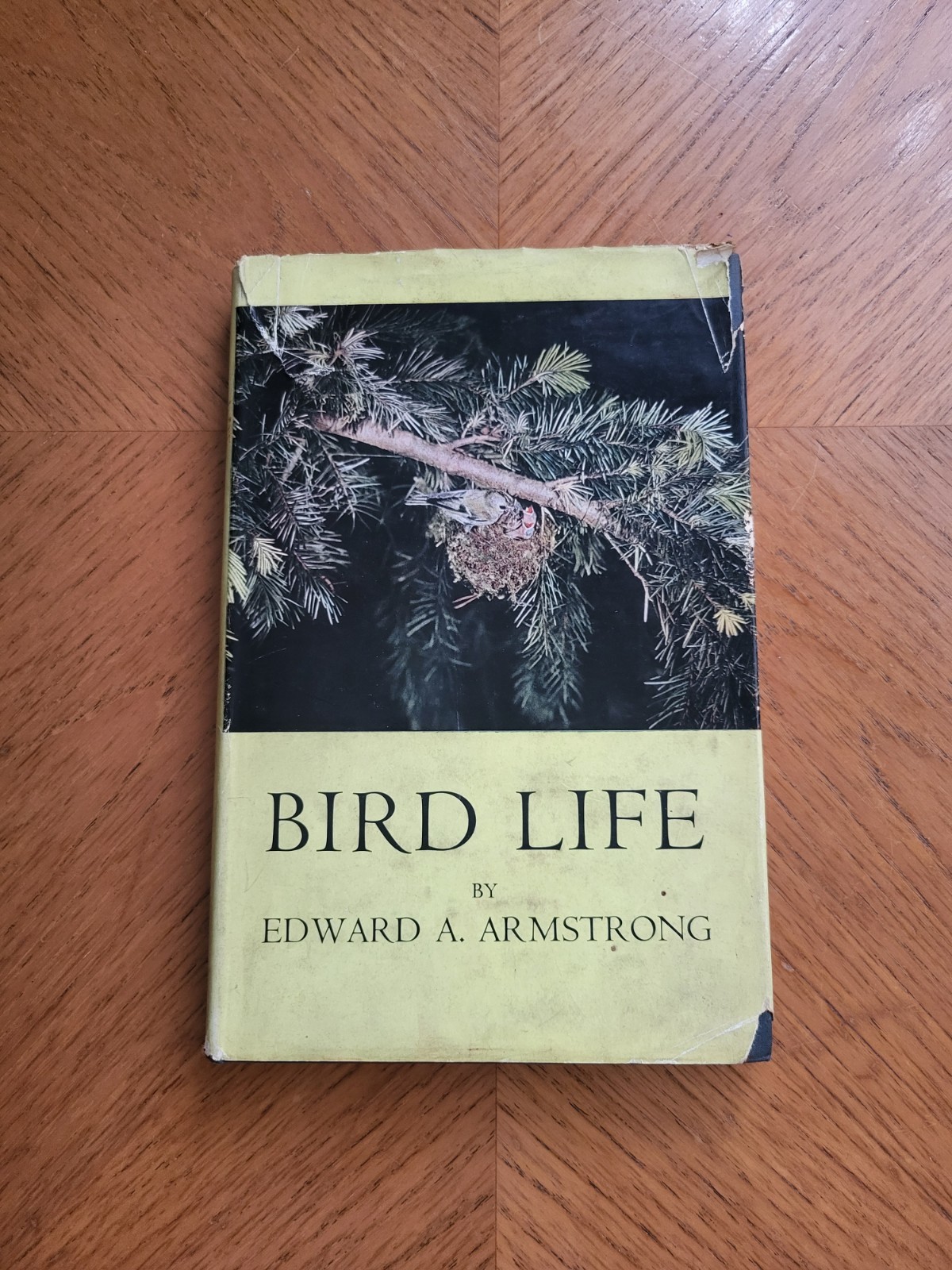 Bird Life By Edward A Armstrong – 1949 Book – Ornithology, Birds