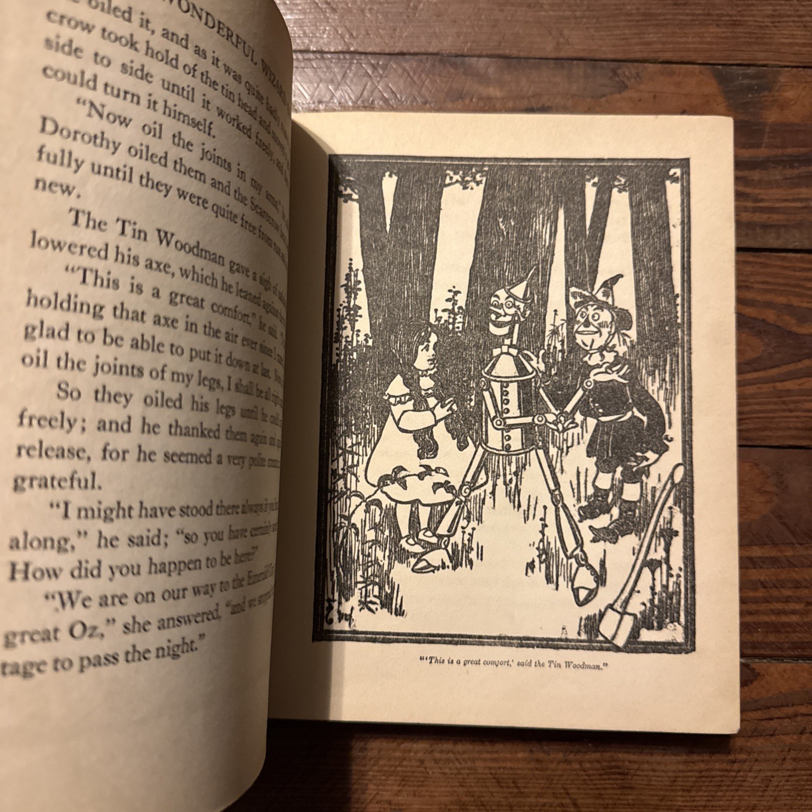 Vintage 1903 Edition of The Wizard of Oz Book by L. Frank Baum & W. W. Denslow