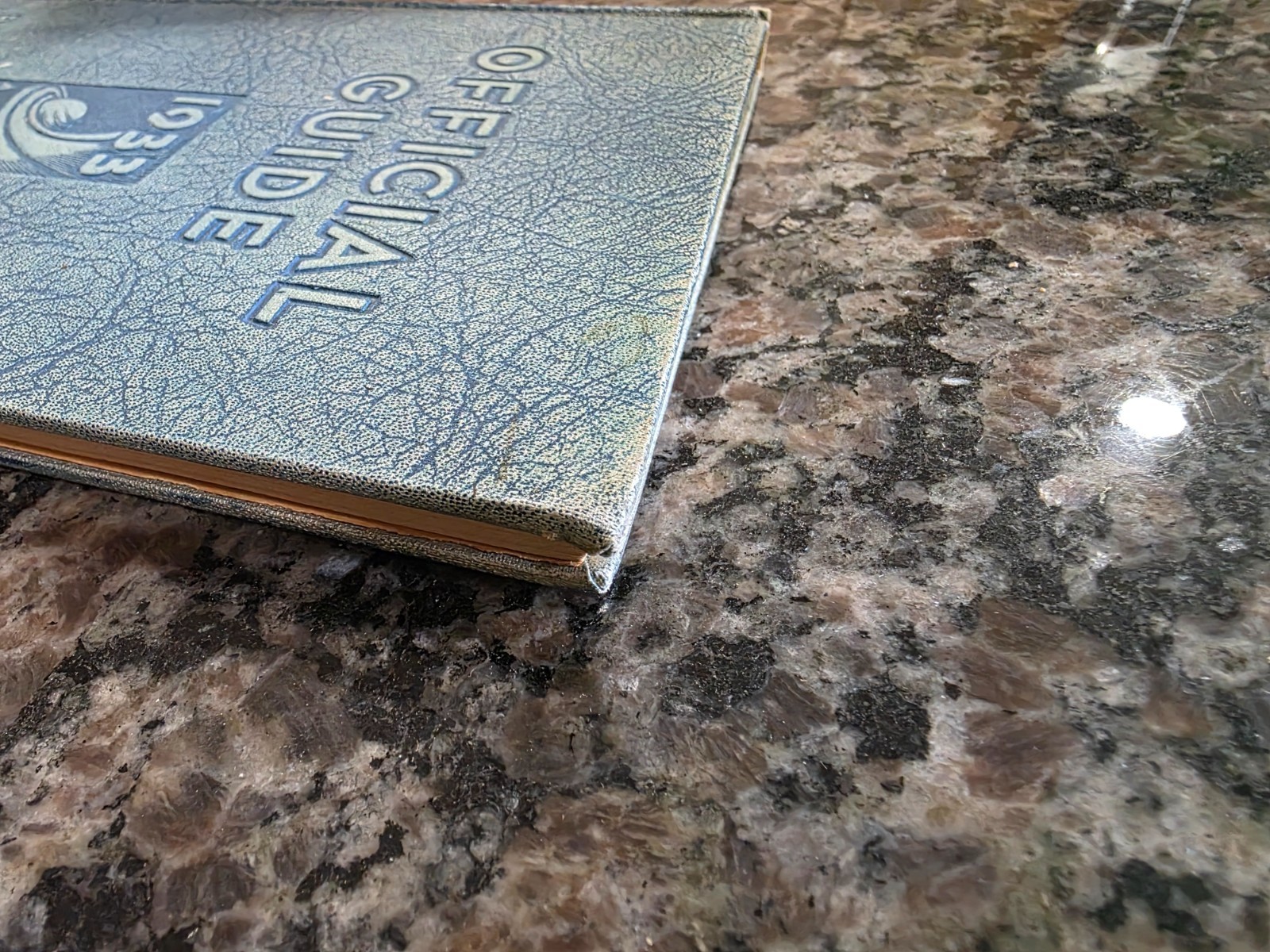 1933 Century of Progress Official Guide Book Of the Fair Chicago World’s Fair LB
