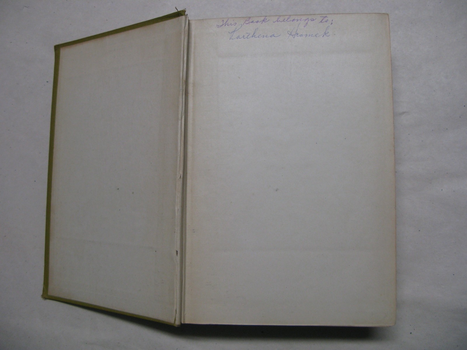 Josephus‘ Complete Works, Thompson & Thomas, 1900’s, William Whiston, trans