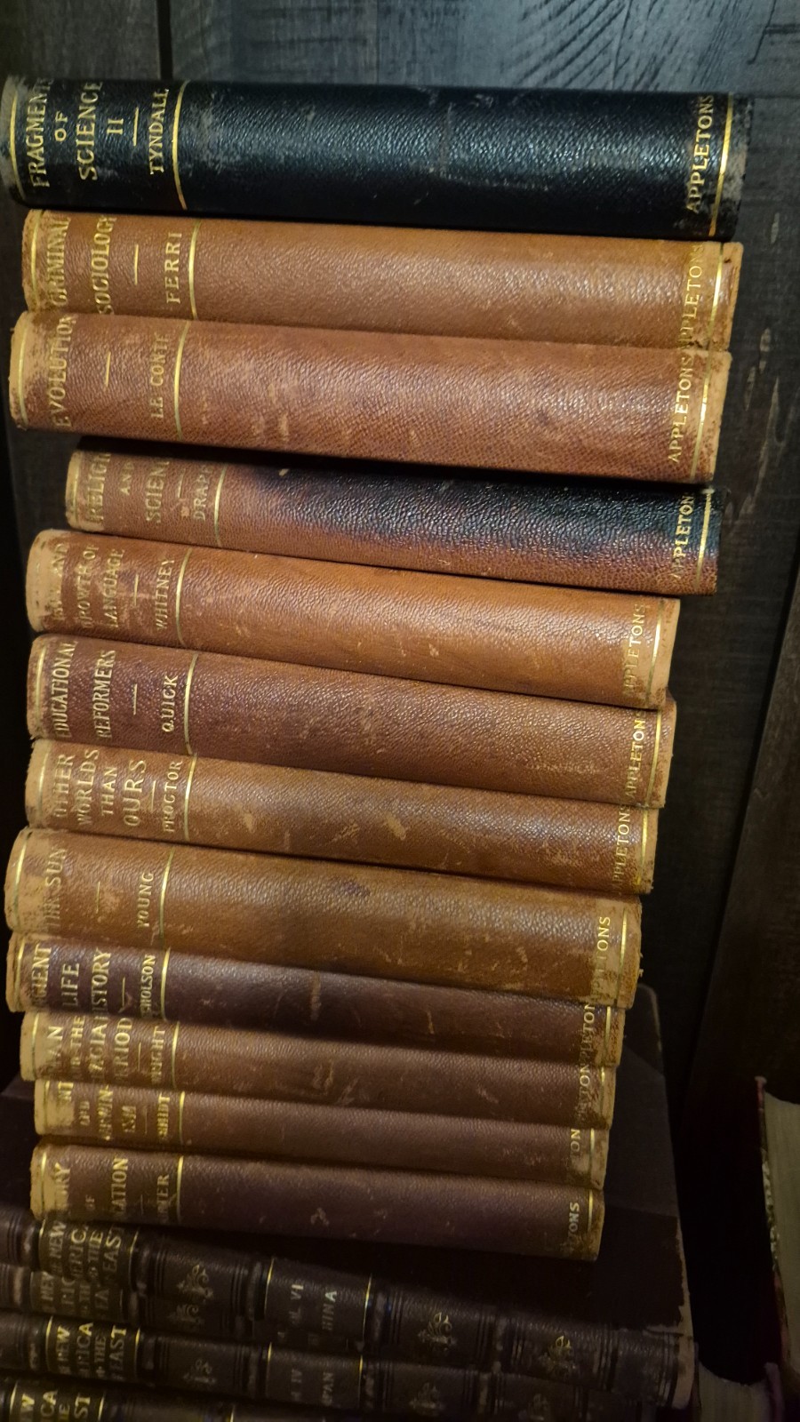 9 Antique Appleton 1899-1900 Science Philosophy Books Darwin Evolution Sociology