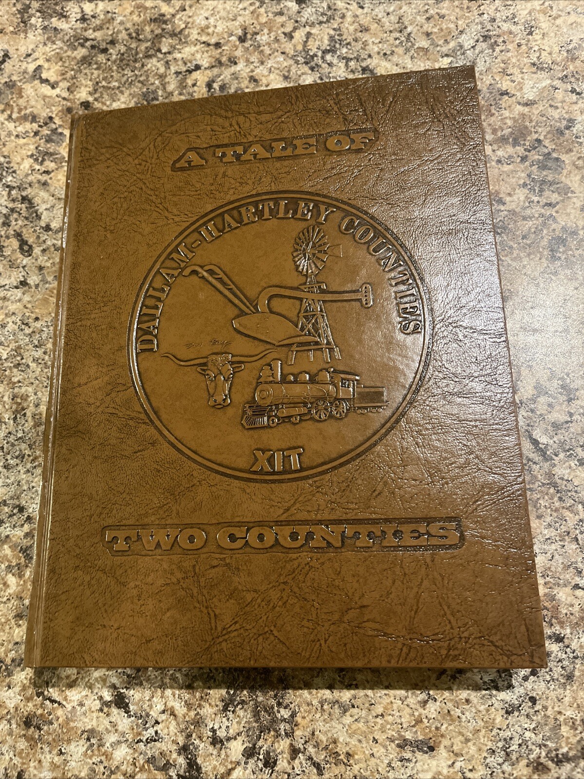 Tale Of Two Counties Dallam & Hartley Counties Hist. Assoc. 1986 HB Book
