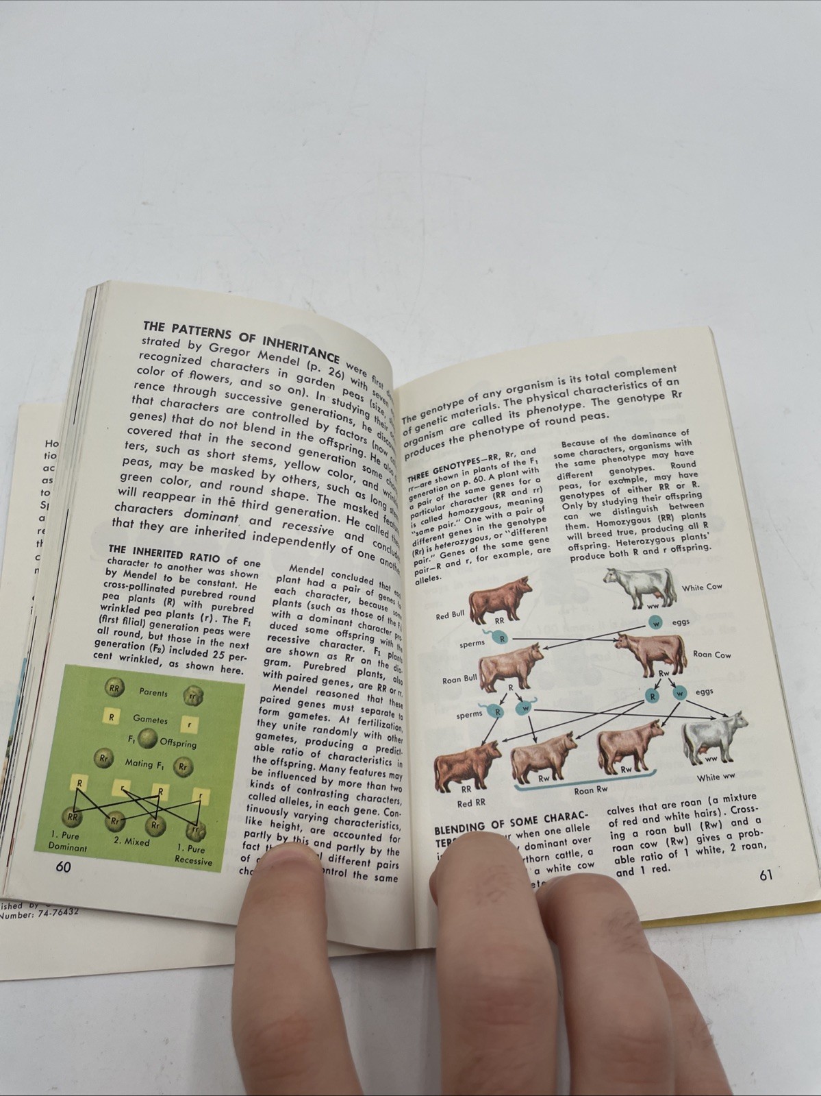 Evolution: A Golden Guide By Rhodes (1974) Golden Press Mini Book