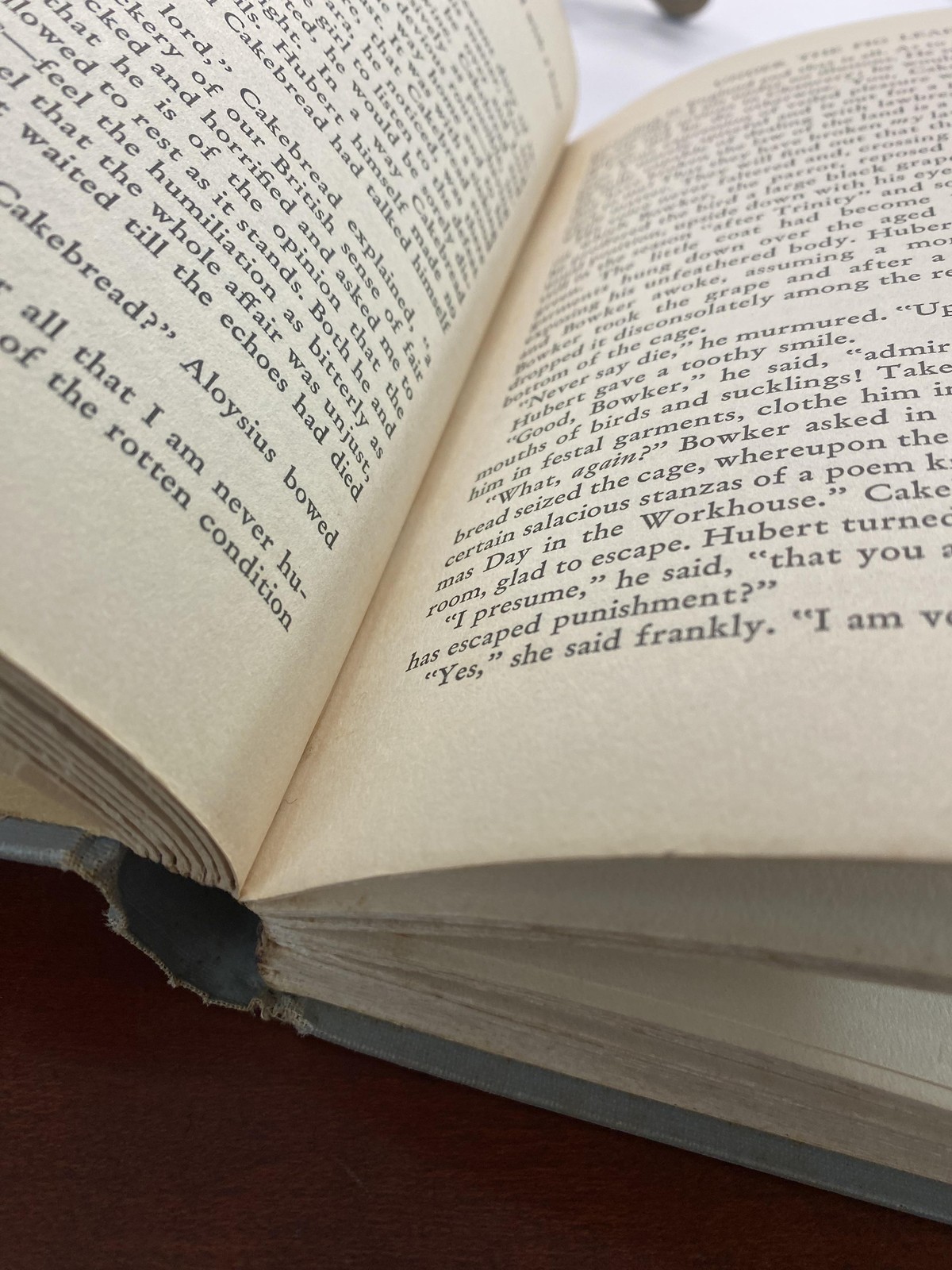 Vintage 1937 Under The Fig Leaf Edwin Greenwood Doubleday Gray Cloth HC Satire