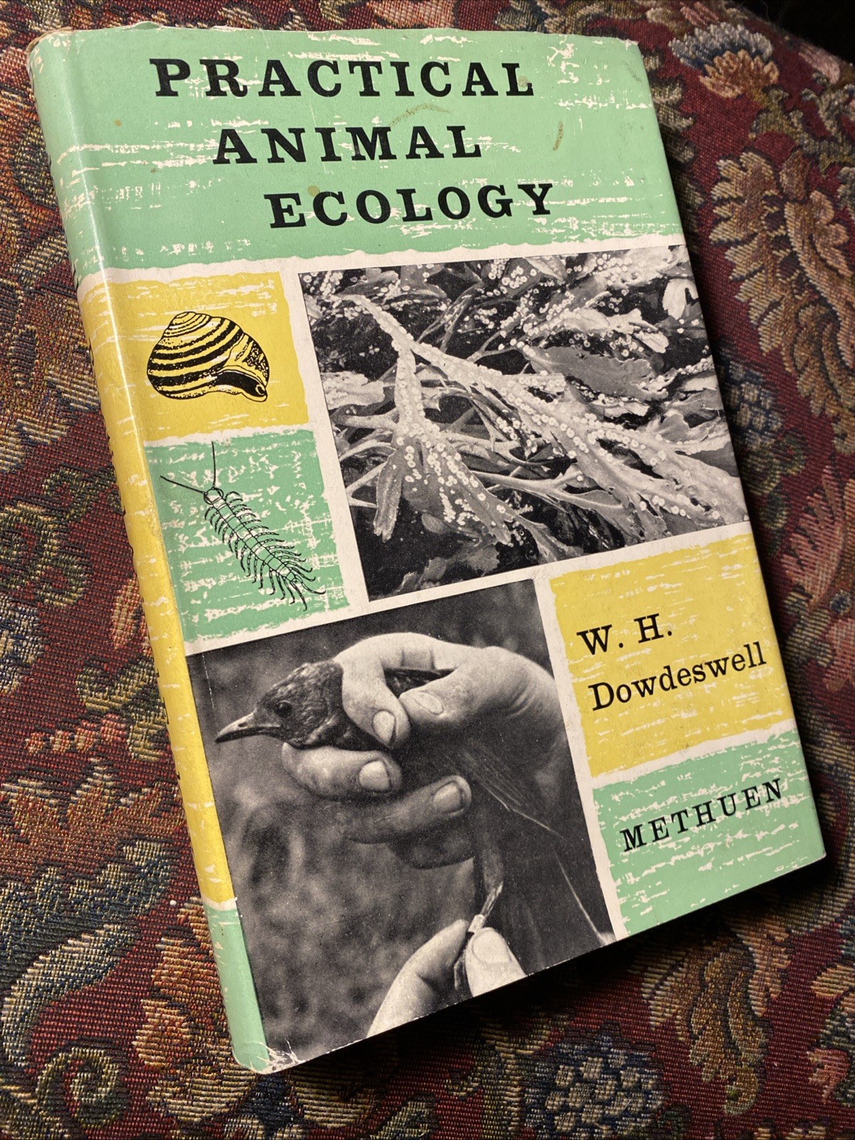Practical Animal Ecology By W H Dowdeswell 1959 Methuen HCDJ