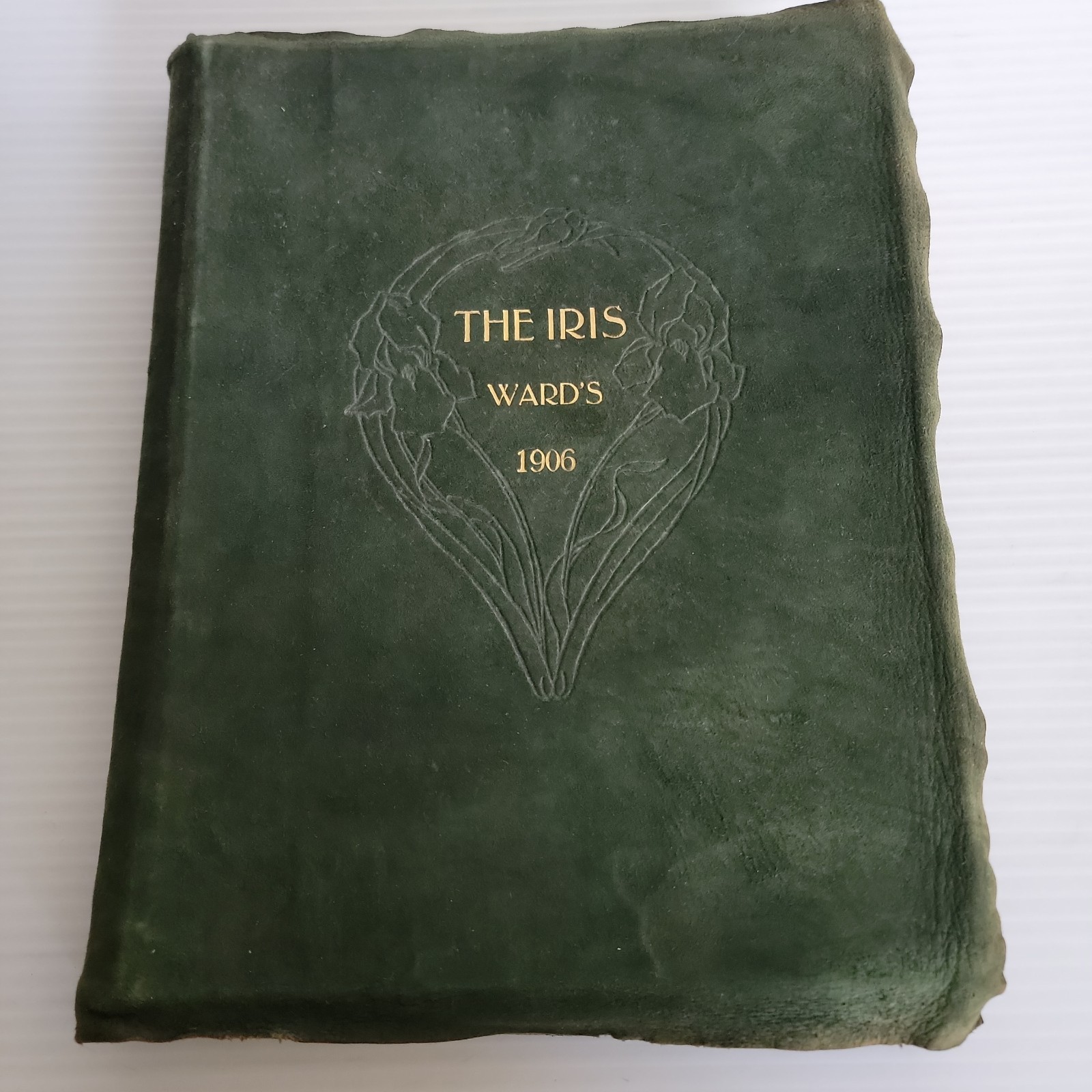 1906 The Iris Ward Seminary Nashville Tennessee Art Nouveau Yearbook Leather