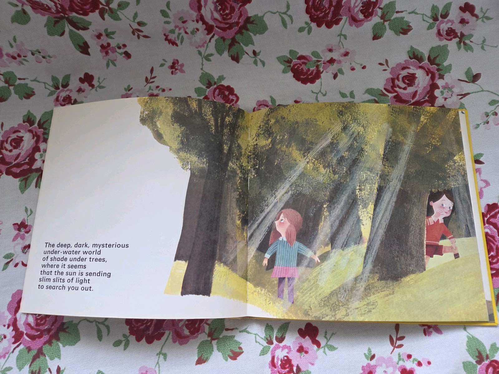 Retro ‚Sunshine & Shadow‘ By Peggy Blakely Hardback Picture Book 1971 Vintage