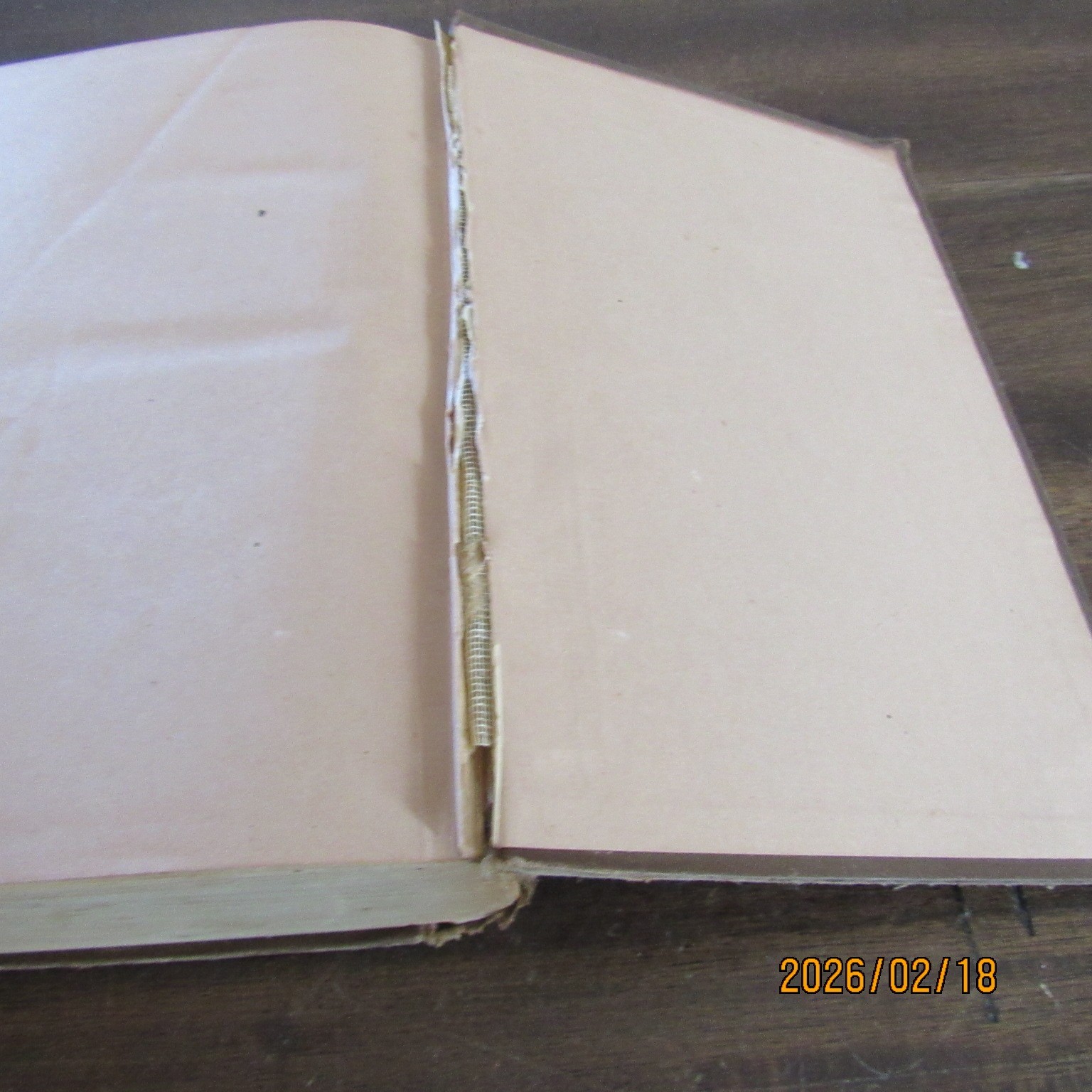 Bleak House Charles Dickens-John B. Alden-1883-Caxton Edition-P Barnard-Antique