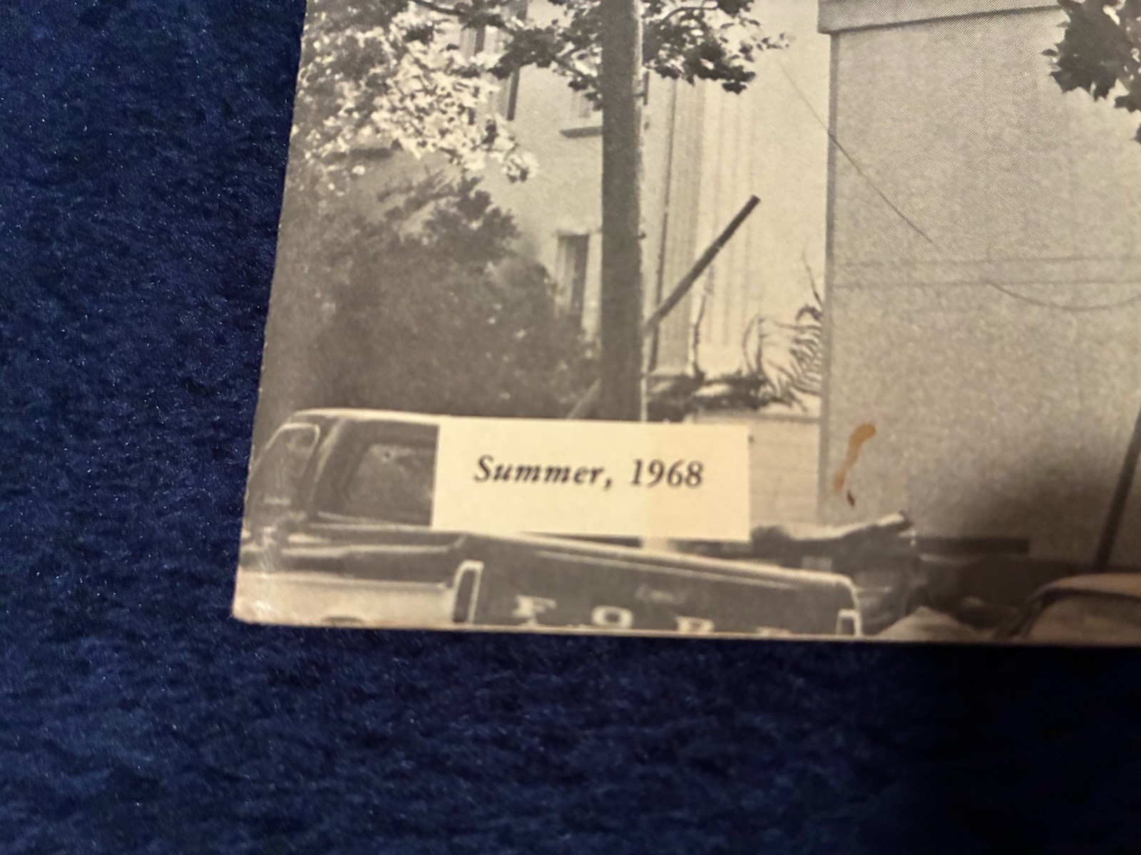 Newman News Summer 1968