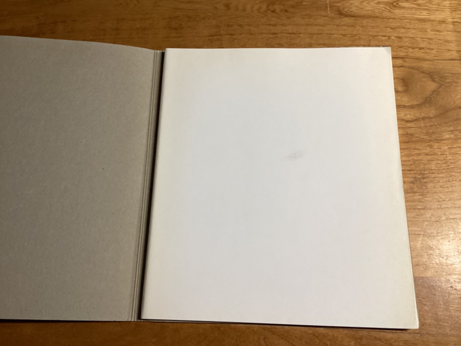 1988-1997 Rare Gallery Catalogues On The Art Of Brice Marden – See Below
