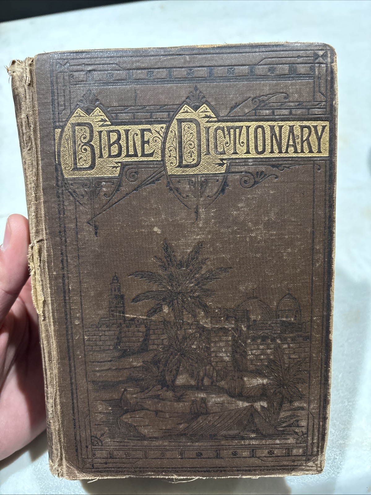 Dictionary of the Bible, Philip Schaff Over 400 Illustrations 1st Ed 1880