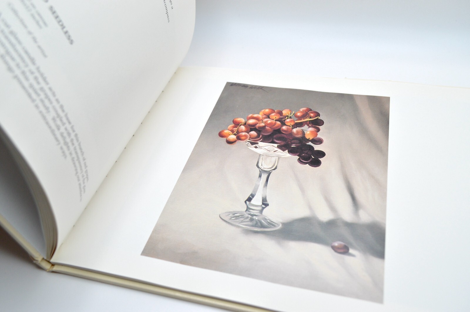 William Wolk, Paintings, HC/DJ, SIGNED, 1994, Jalmar Press, Monograph VG+