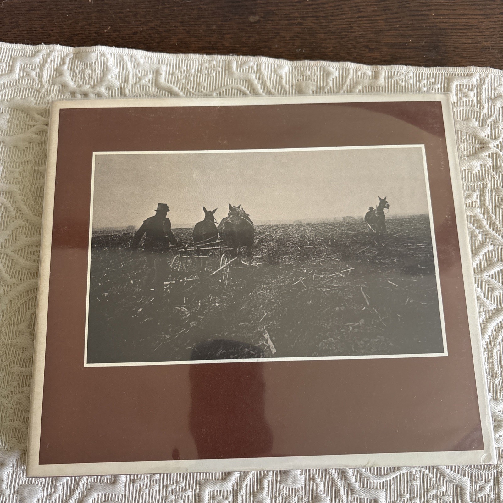 Views In Texas, 1895-96, First Addition 1974