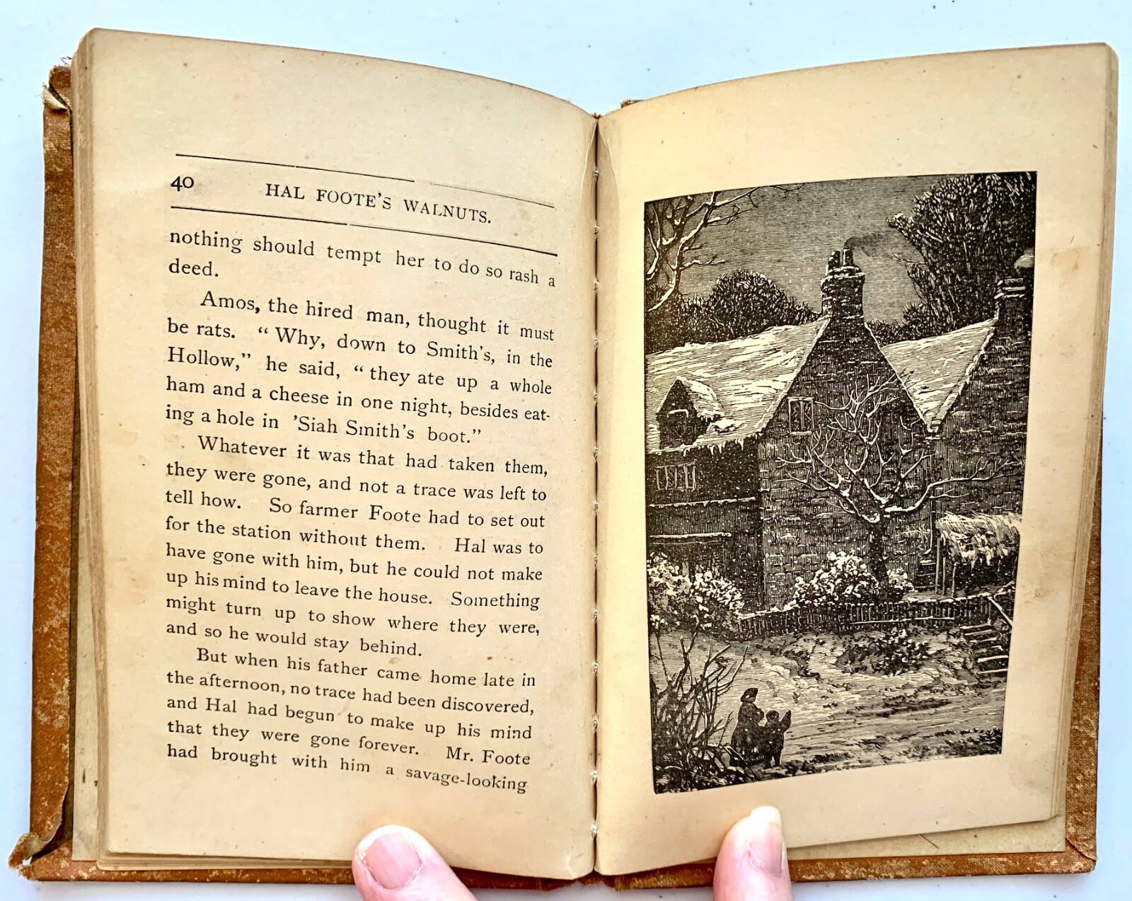 HAL FOOTE’S WALNUTS – Dodd, Mead, & Co. [1878] Antique Children’s – Hard to Find