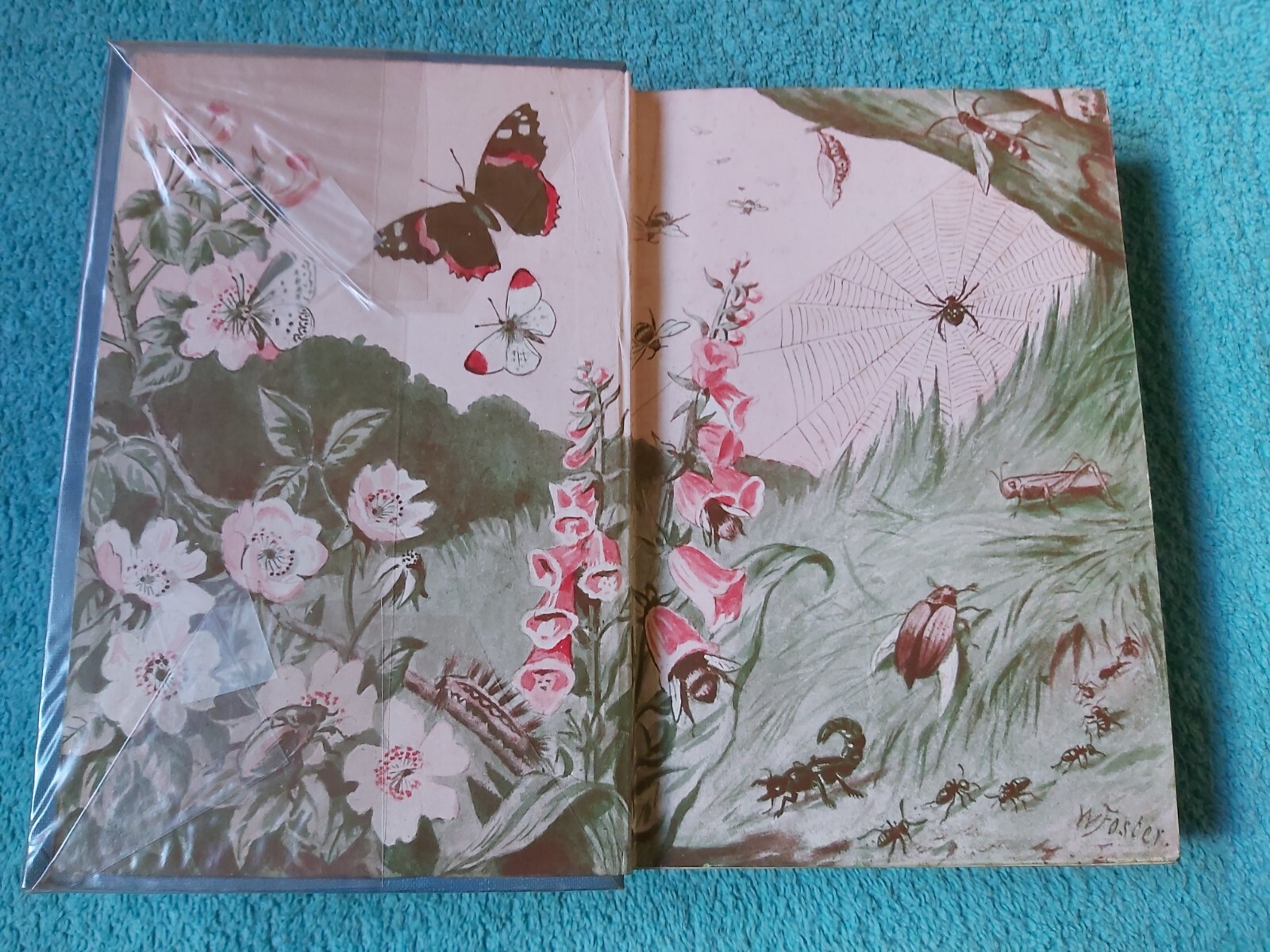 Insect Builders and Spinners by Martin Duncan, Henry Frowde H&S, HB, 1930s