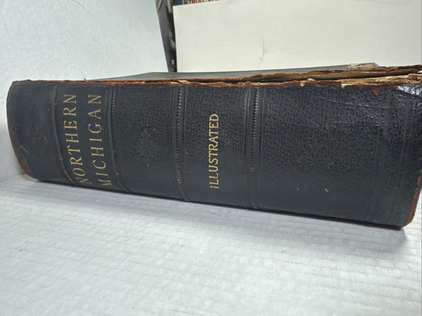 Biographical History Of Northern Michigan 1905 Extremely Hard To Find