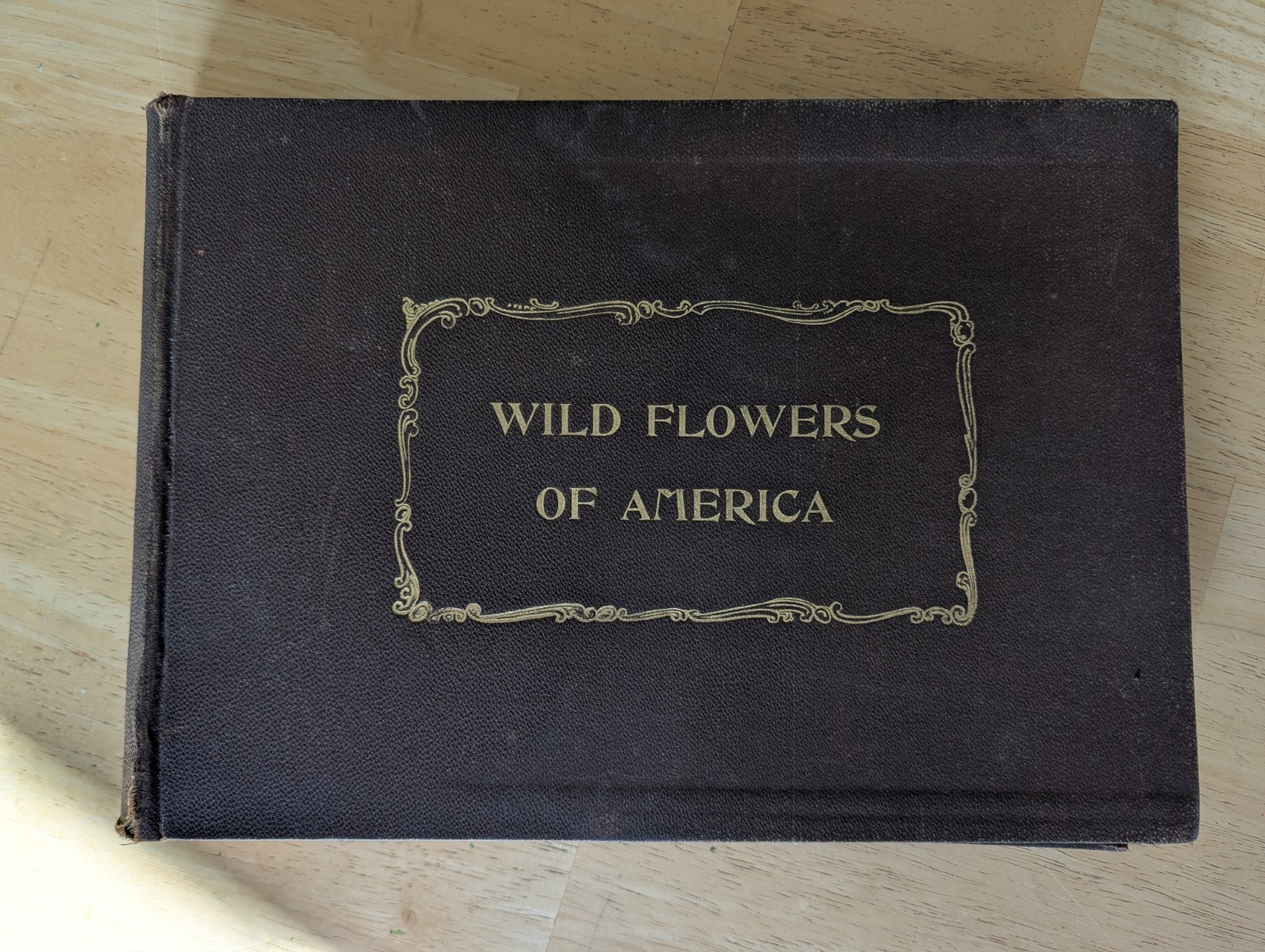 1894 Botanical Fine Art Weekly Wild Flowers of America Hardcover