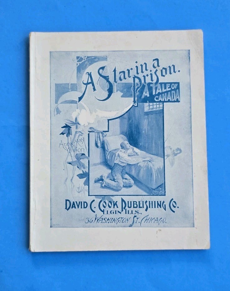 1898 A Star In A Prison Anna May Wilson! Pulp Type Soft Cover Magazine Book!