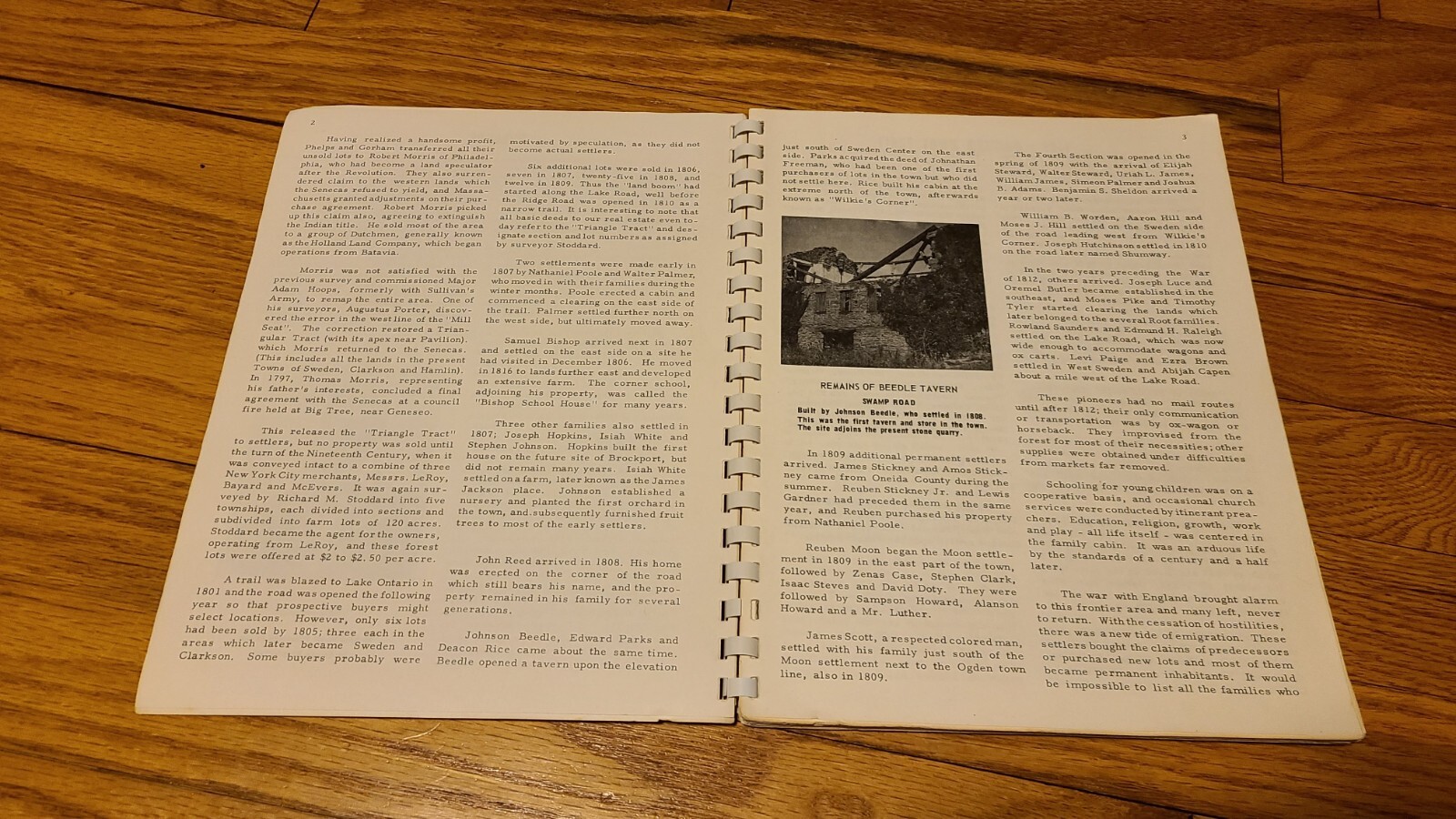 Town of Sweden Sesqui-Centennial Celebration Book 1964 Monroe County NY USA