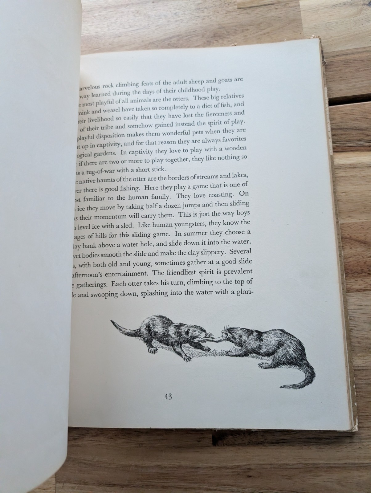 1934 Homes And Habits Of Wild Animals Walter Weber Book Illustrated FULL COLOR