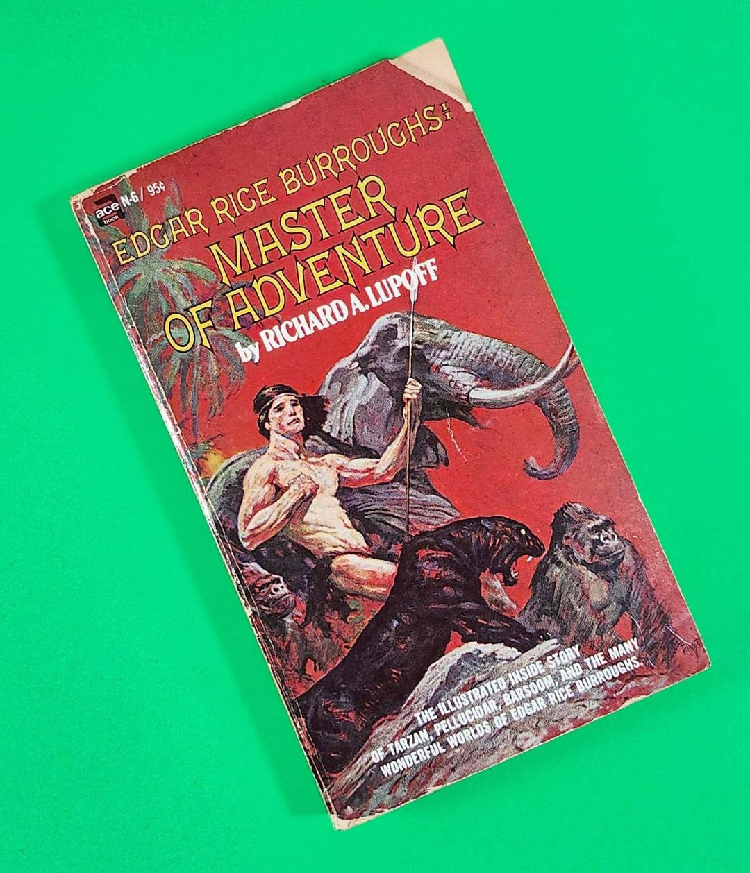 EDGAR RICE BURROUGHS: MASTER OF ADVENTURE Richard A Lupoff 1st Ed 1965 Frazetta