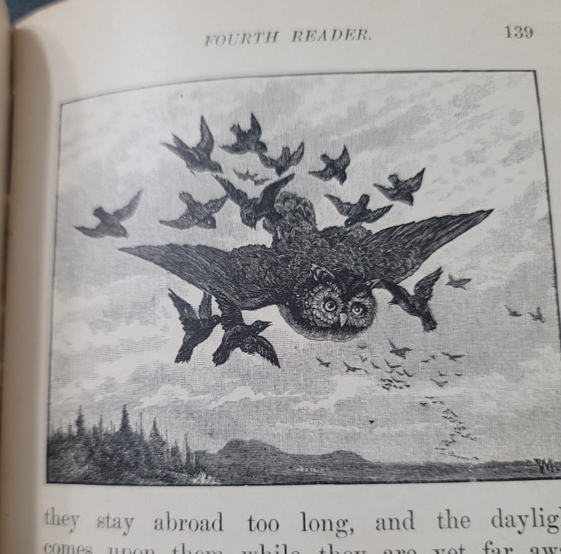 1883 School Book Butler Series Fourth Reader Oddball illustrated Antique