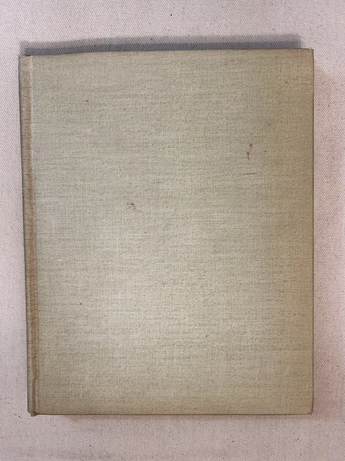 A Dog of Flanders Ouida 1892 Nims Knight Troy NY Illustrated Gilt HC Rare