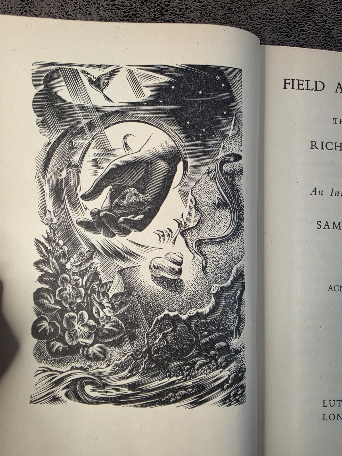1948 Field and Hedgerow Richard Jefferies Lutterworth Press HC Dust Jacket