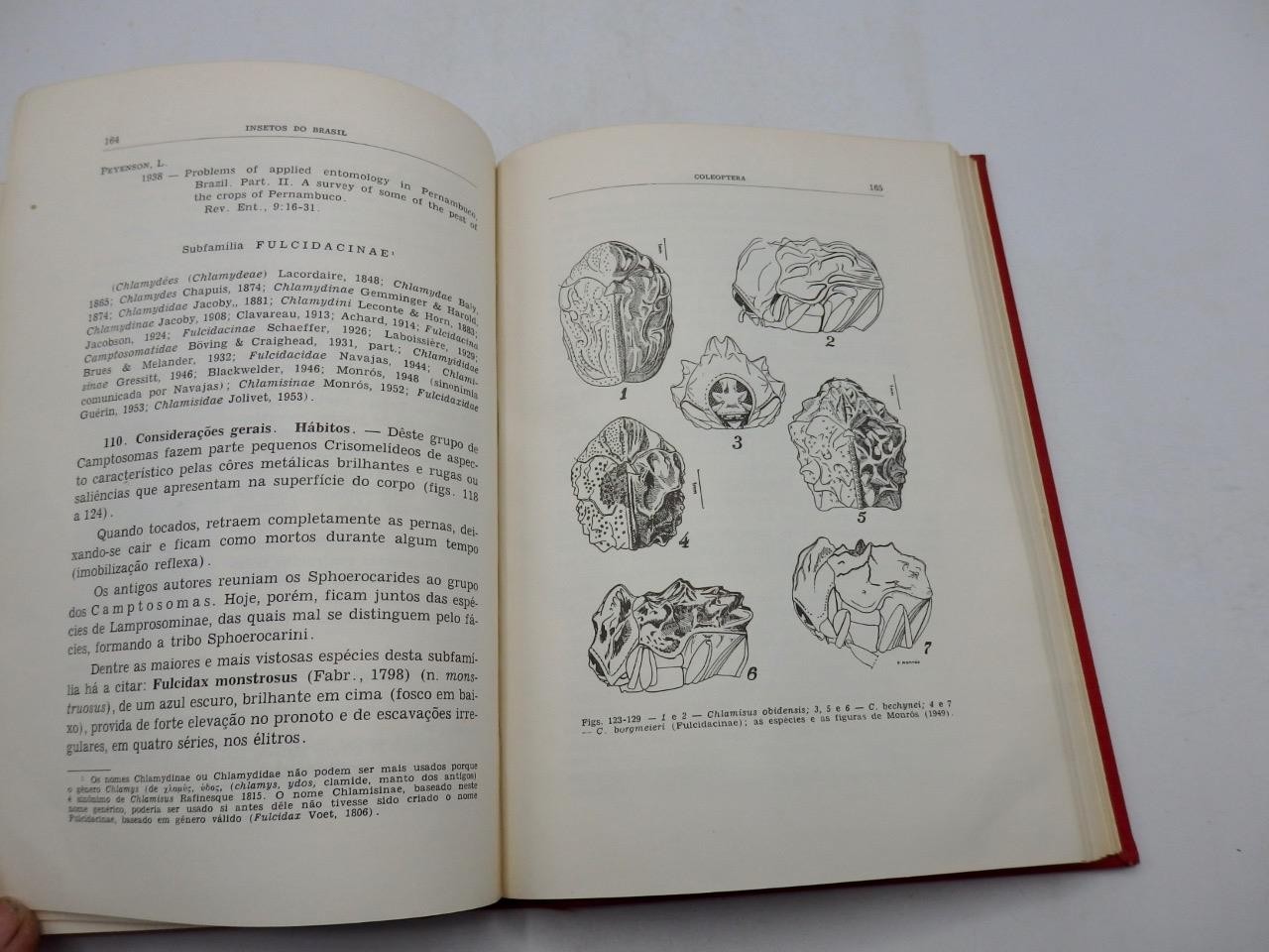 A Da Costa Lima INSECTOS DO BRASIL – COLEOPTEROS Part 3 Natural History BEETLES
