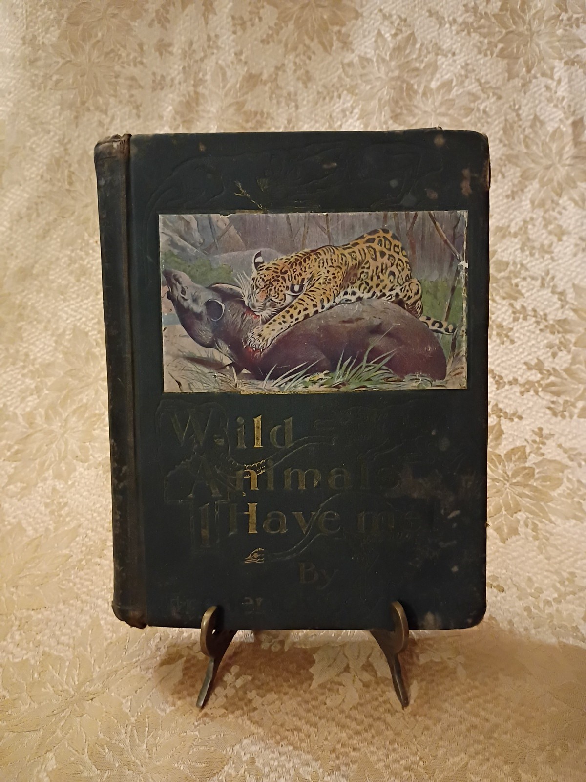 1901 Wild Animals I Have Met Frederick Seymour HC Educational Co Chicago Book
