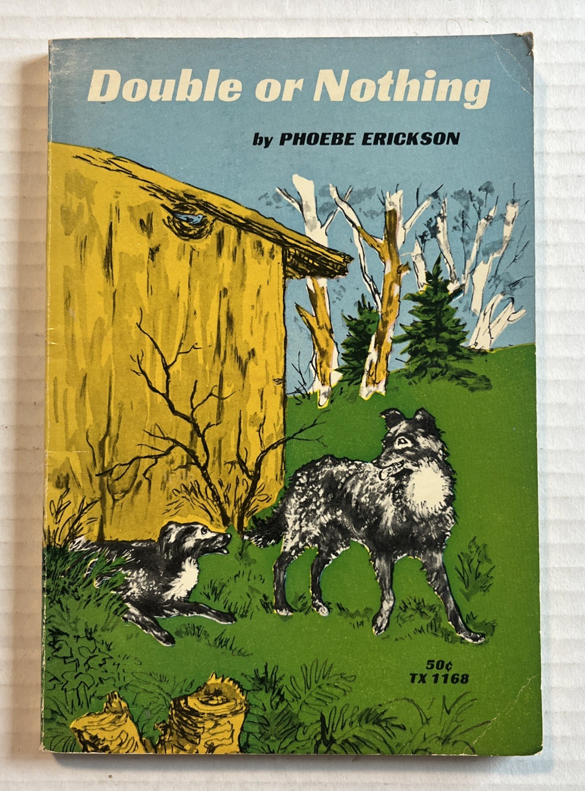 Double or Nothing, Phoebe Erickson, Scholastic Paperback, 1st Printing, 1968