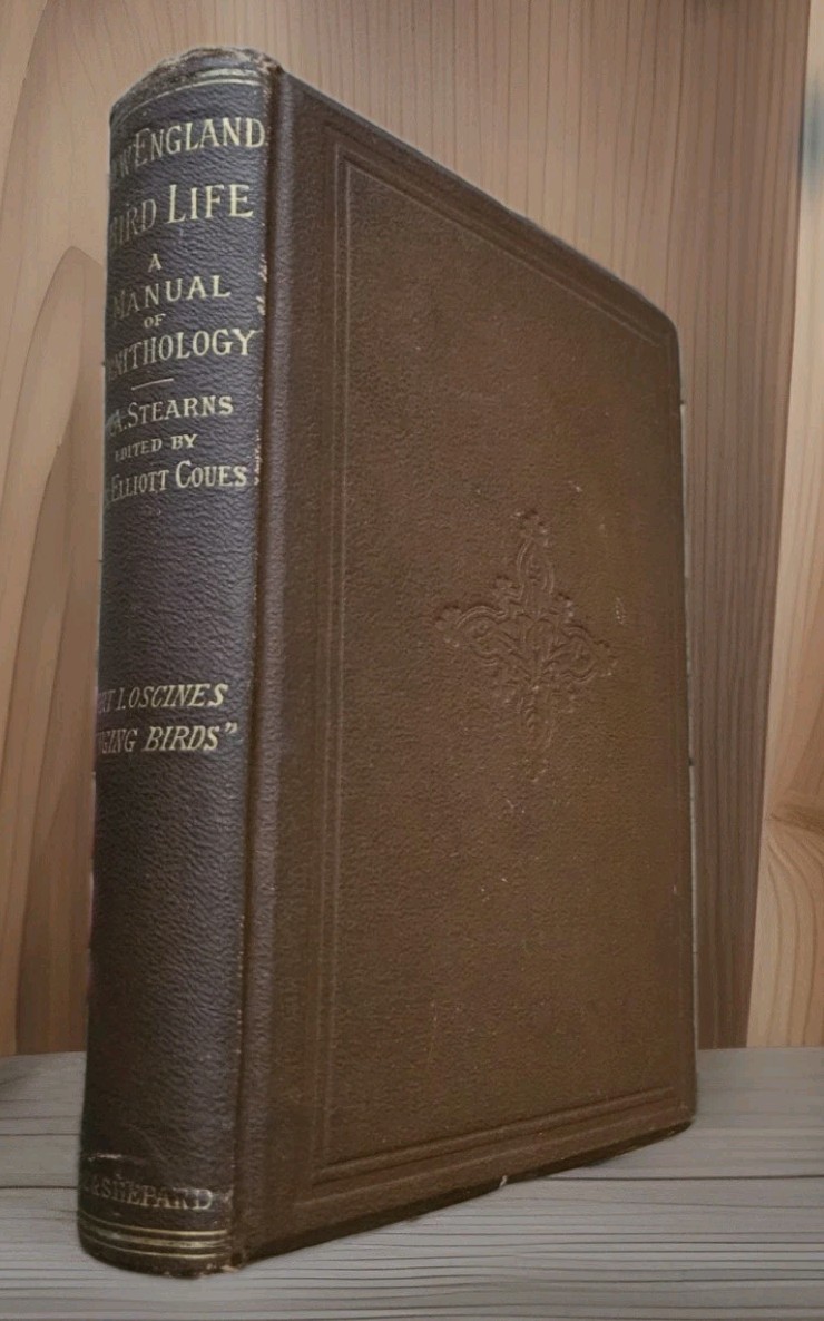 1881 1st Ed. New England Bird Life Manual Of Ornithology – Stearns SINGING BIRDS
