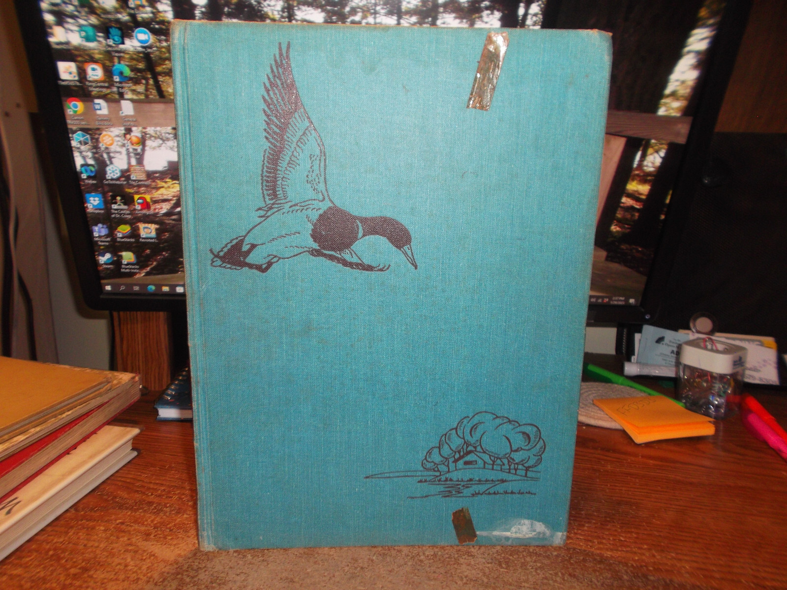 Cabin for Ducks – Edythe Warner – HC – Viking Press – 1958