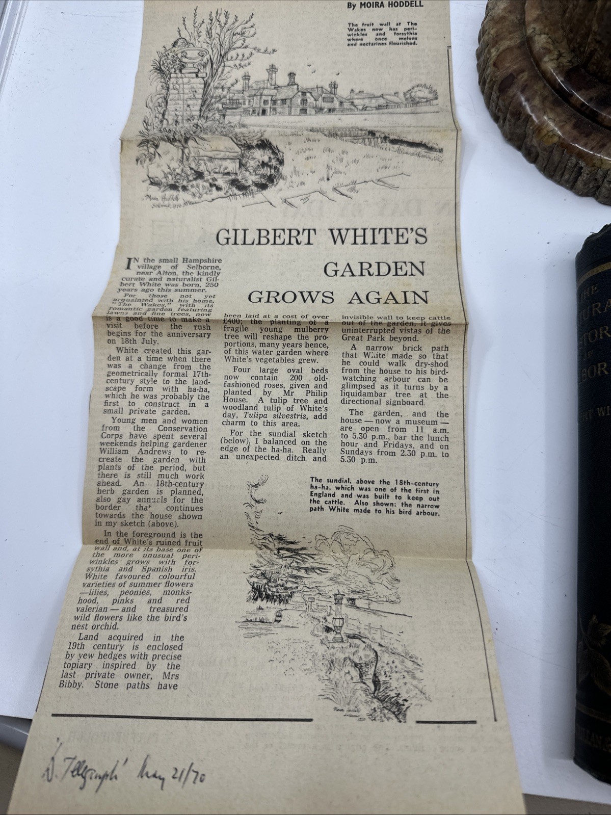 White’s Selborne Gilbert White 1897 Macmillan Natural History (N196)