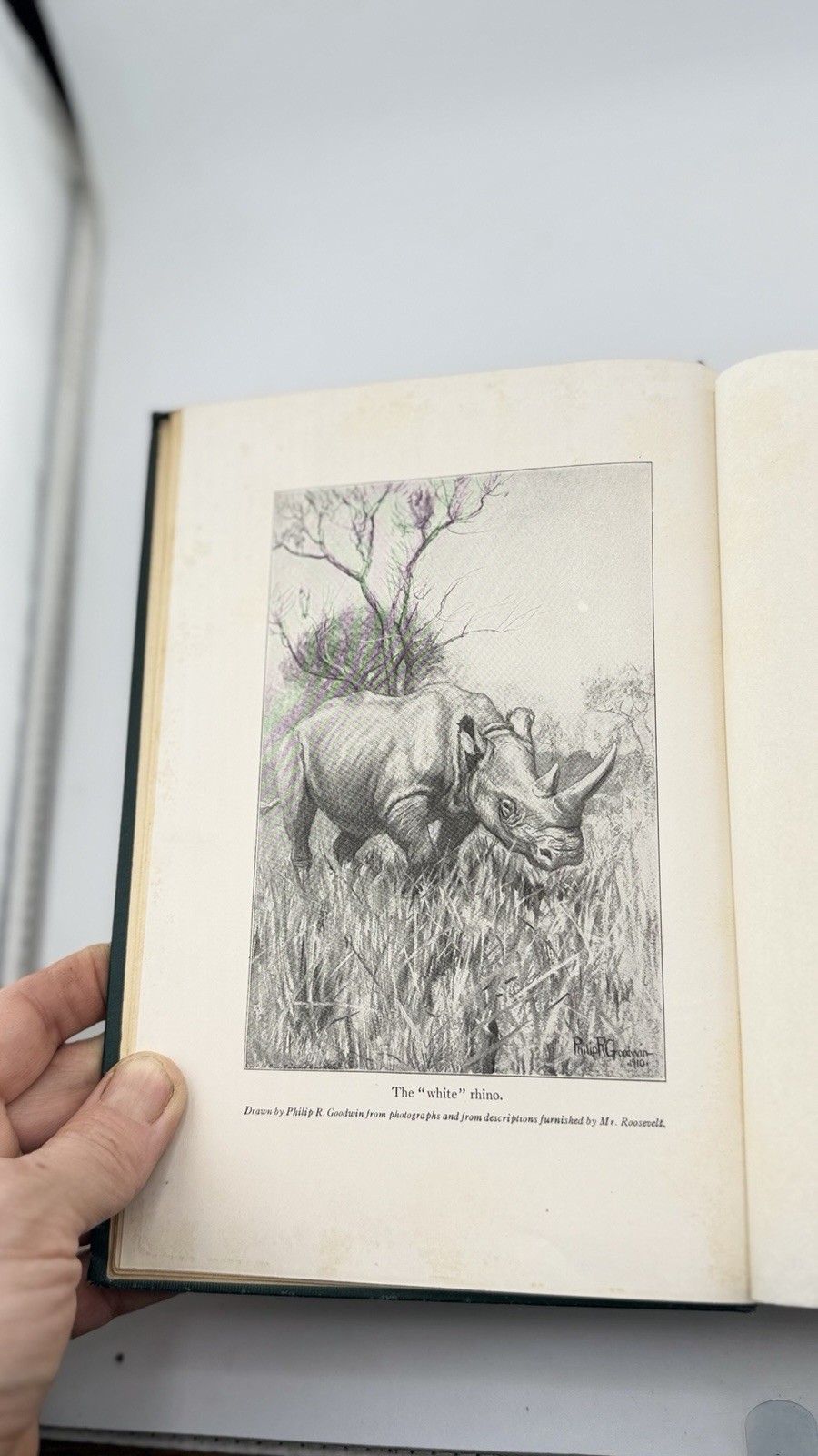 1926 African Game Trails Vol II Theodore Roosevelt HC Scribner Hunting Safari