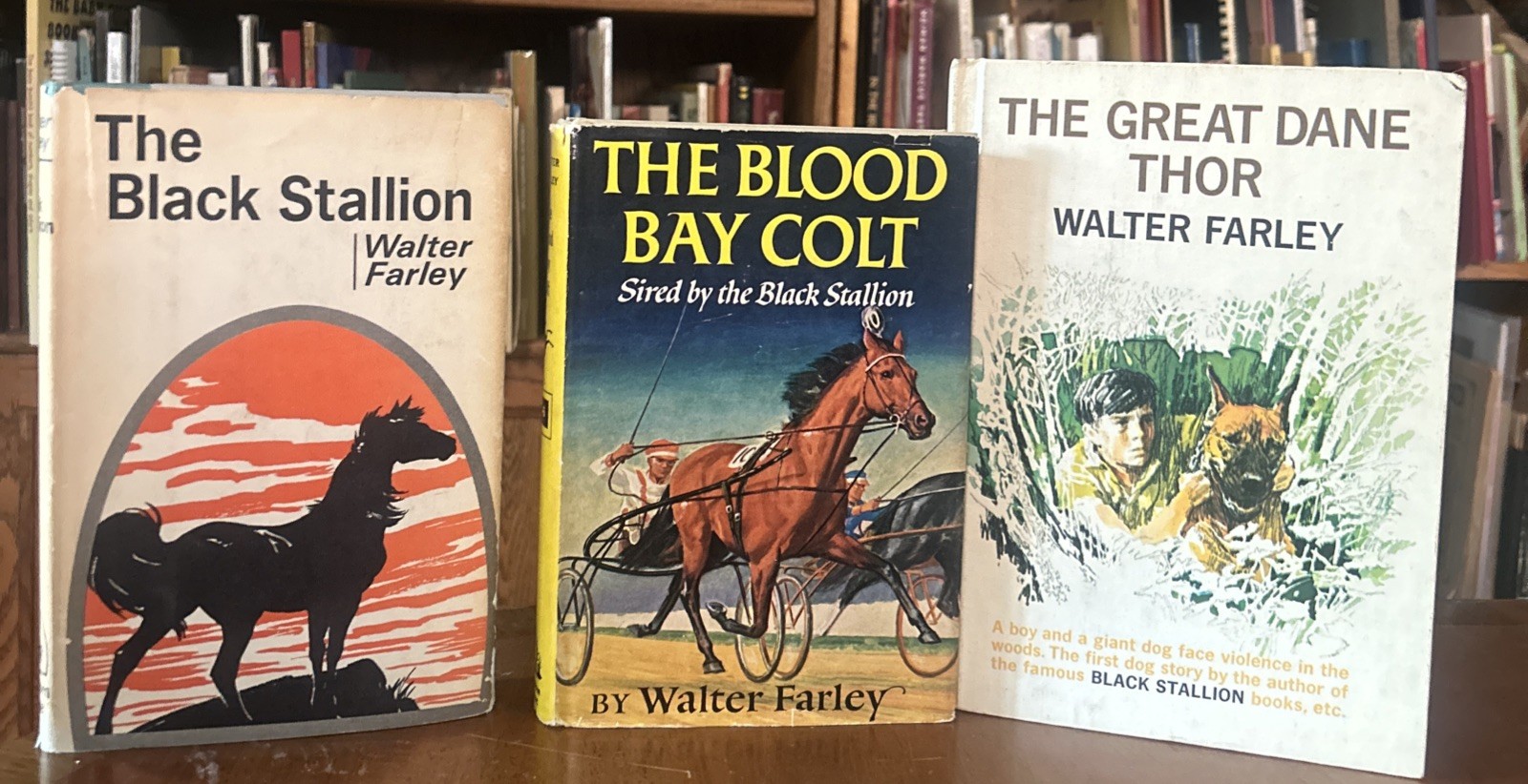 Walter Farley Lot of 3 Black Stallion, Blood Bay Colt, Thor HCDJ Vintage VG