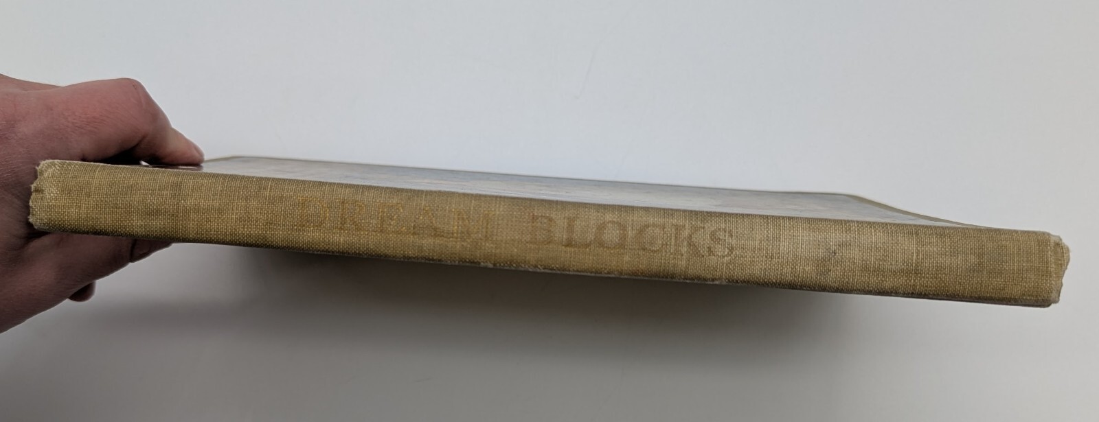 1908 Dream Blocks Aileen Cleveland Higgins Book Illustrated Jessie Willcox Smith