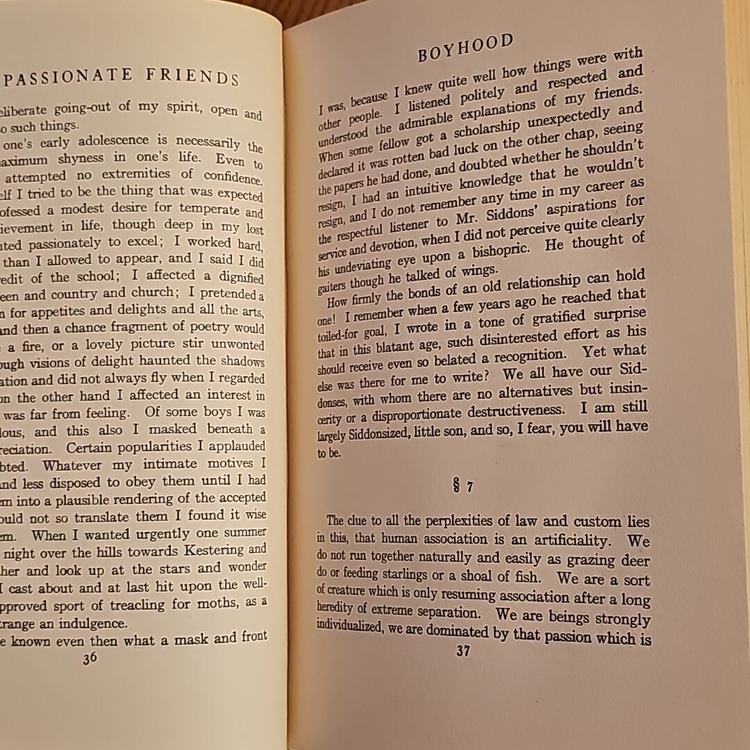 The Passionate Friends H.G. Wells 1913 A.L. Burt Company