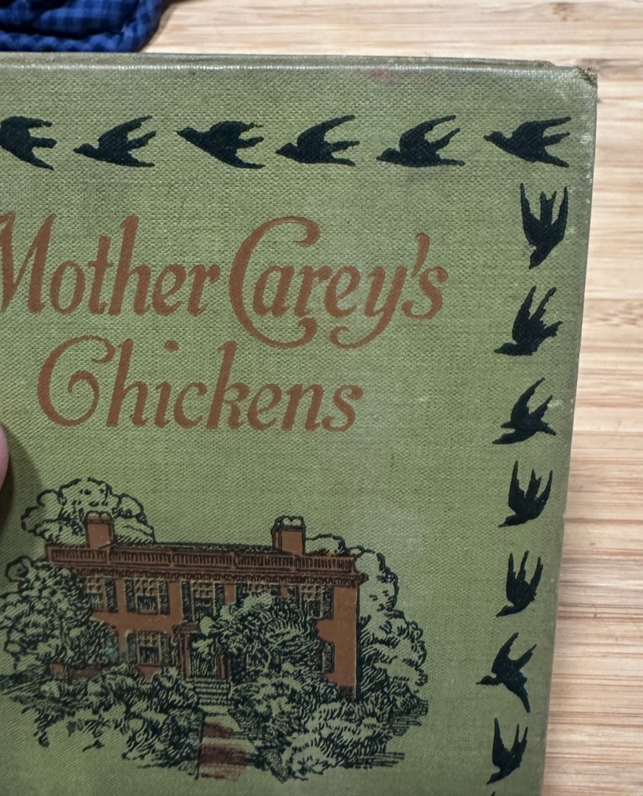 Mother Careys Chickens Kate Douglas Wiggin 1911 Hardback