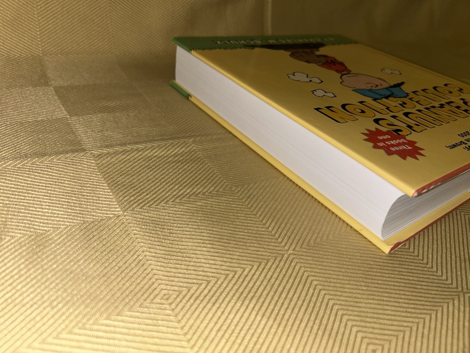 Charles Schulz Peanuts Collection Dogs Life Big World Charlie Brown Book 2006
