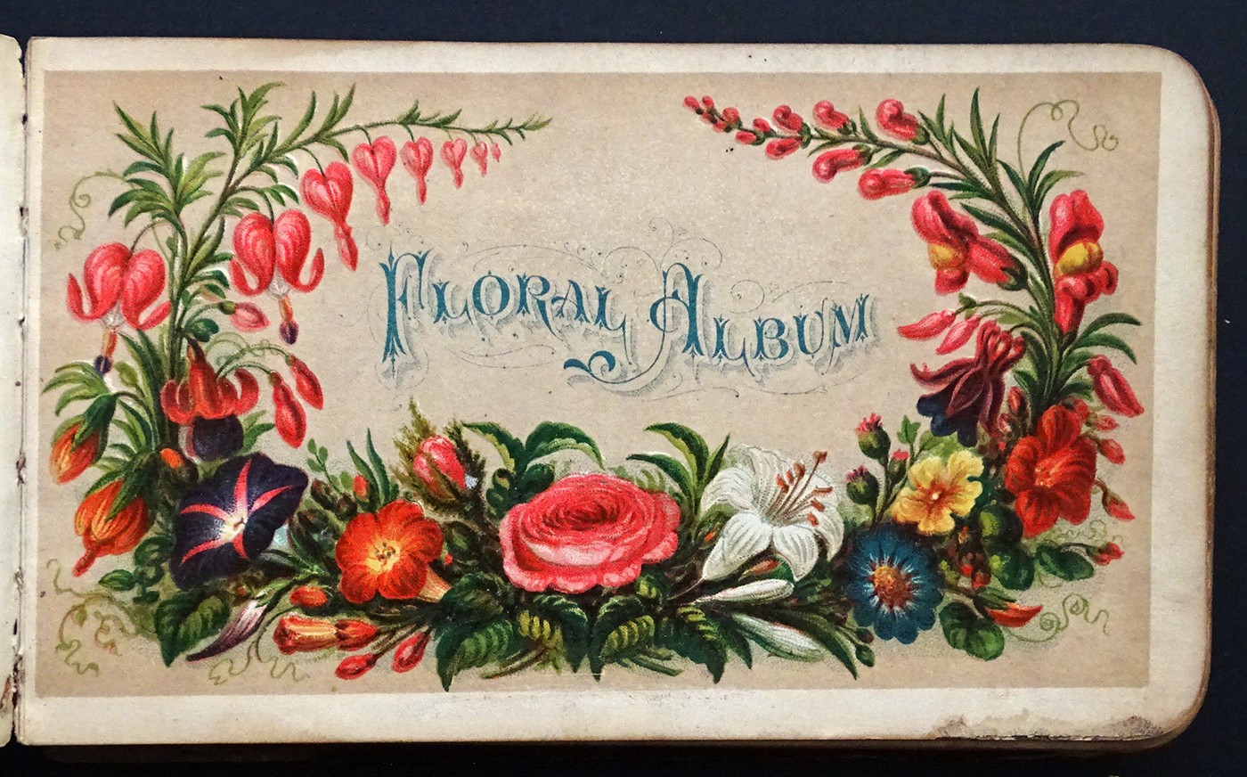 1870’s Antique FRIENDSHIP AUTOGRAPH ALBUM Memory Book ROSIE GODFREY East Hamburg